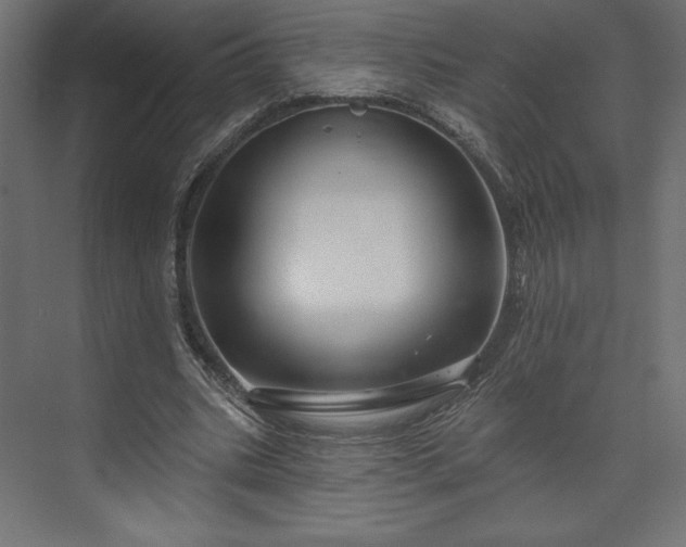 X0000073990535200608281316