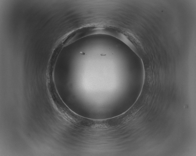 X0000073990536200608281316