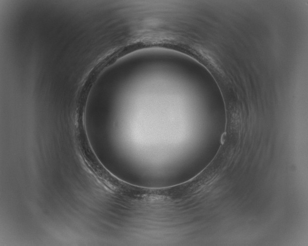 X0000073990539200608281316