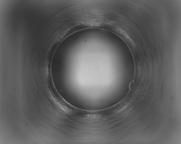 X0000073990541200608281316