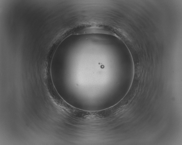 X0000073990544200608281316