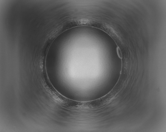 X0000073990545200608281316