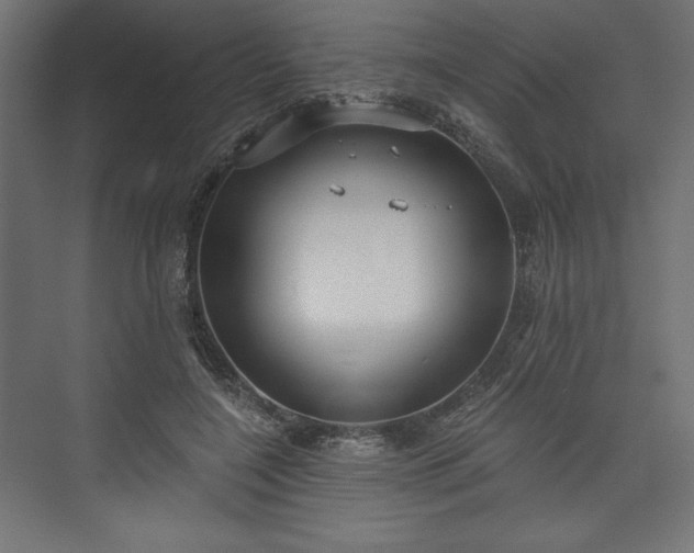 X0000073990548200608281316