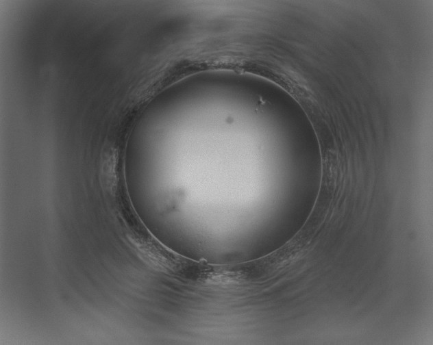 X0000073990550200608281316