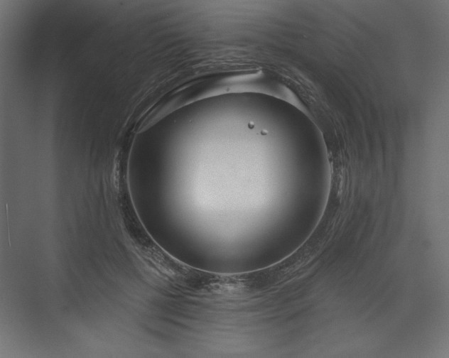 X0000073990552200608281317