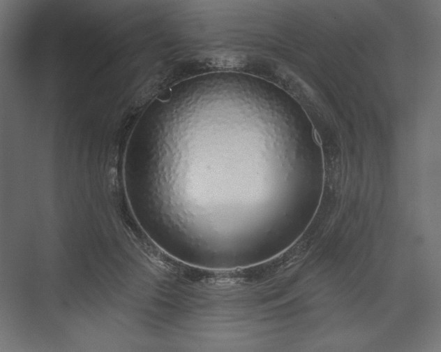 X0000073990553200608281317