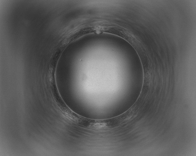 X0000073990554200608281317