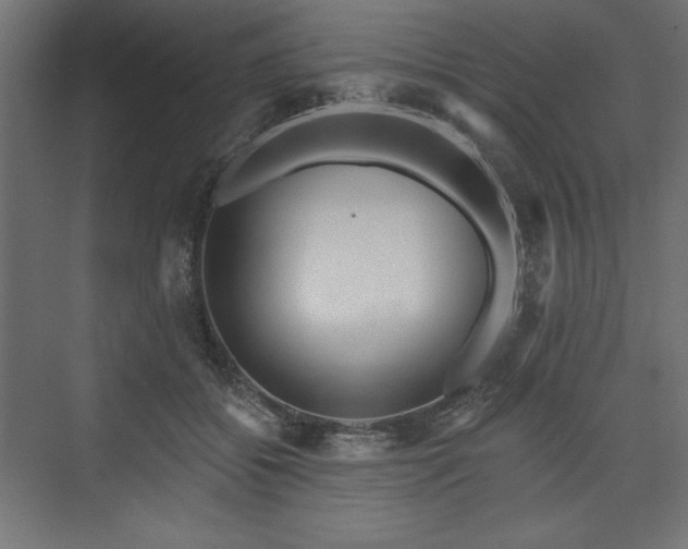 X0000073990556200608281317