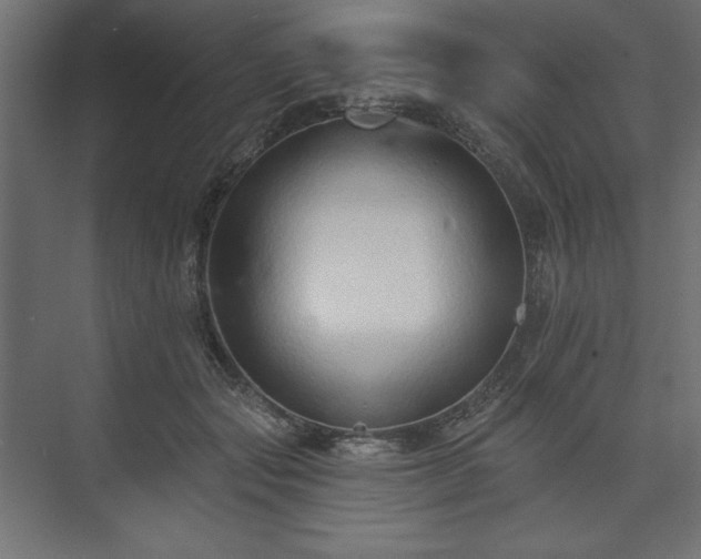 X0000073990557200608281317