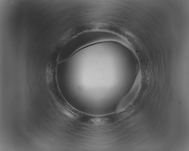 X0000073990558200608281317