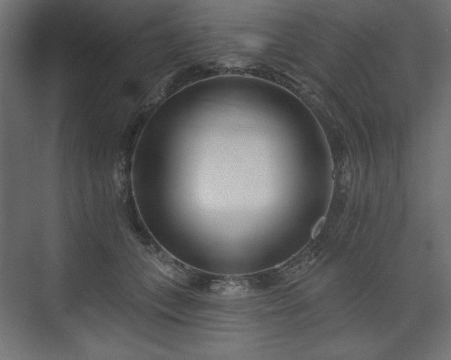 X0000073990559200608281317