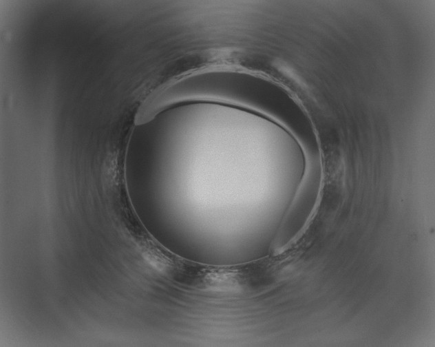 X0000073990560200608281317