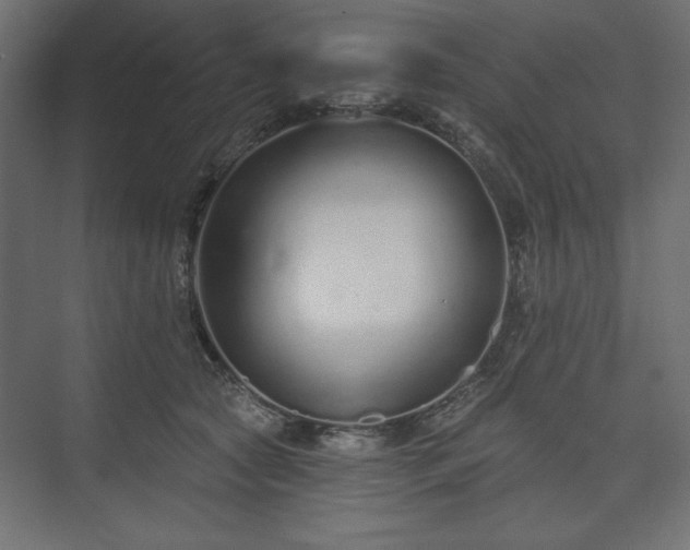 X0000073990561200608281317