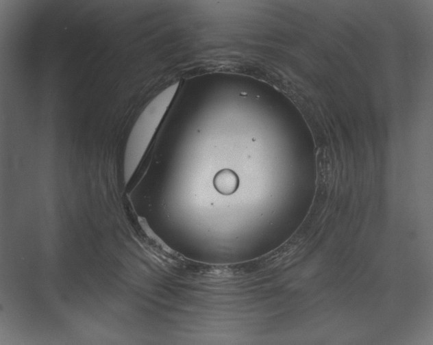 X0000073990562200608281317