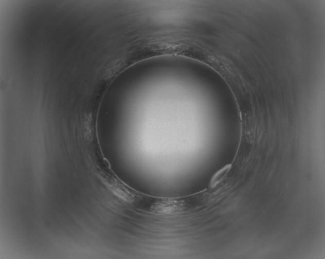 X0000073990563200608281317