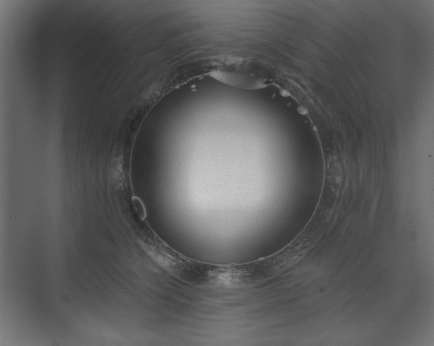 X0000073990564200608281317