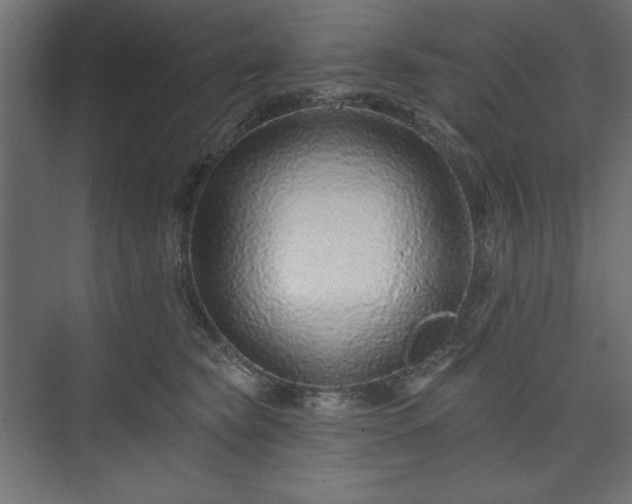 X0000073990565200608281317