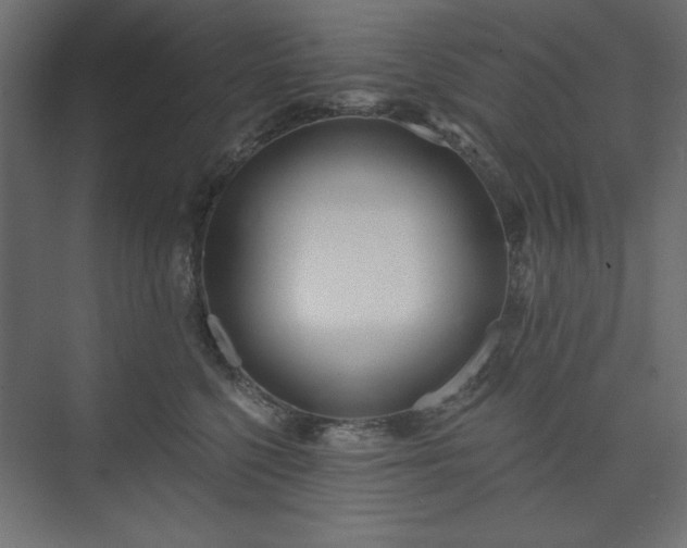 X0000073990568200608281317