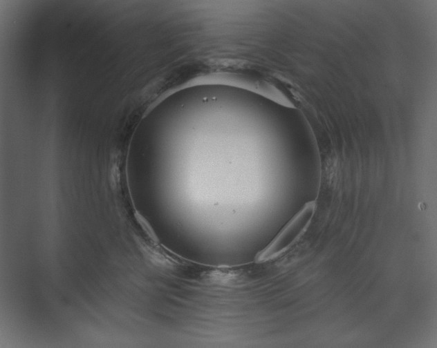 X0000073990570200608281317