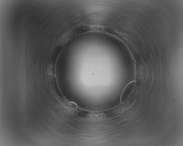 X0000073990571200608281317