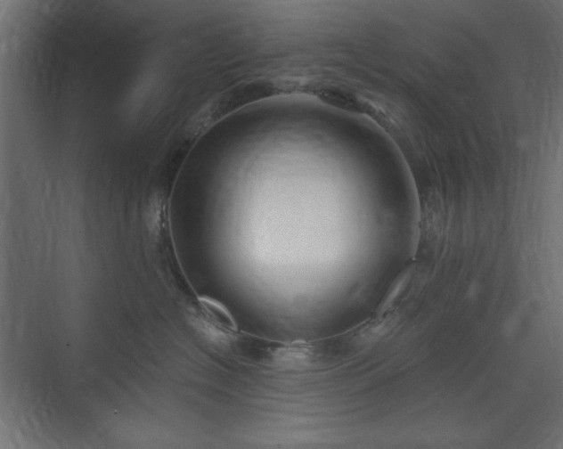 X0000073990574200608281317