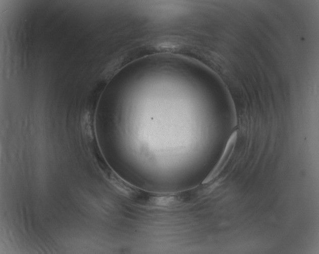 X0000073990575200608281317