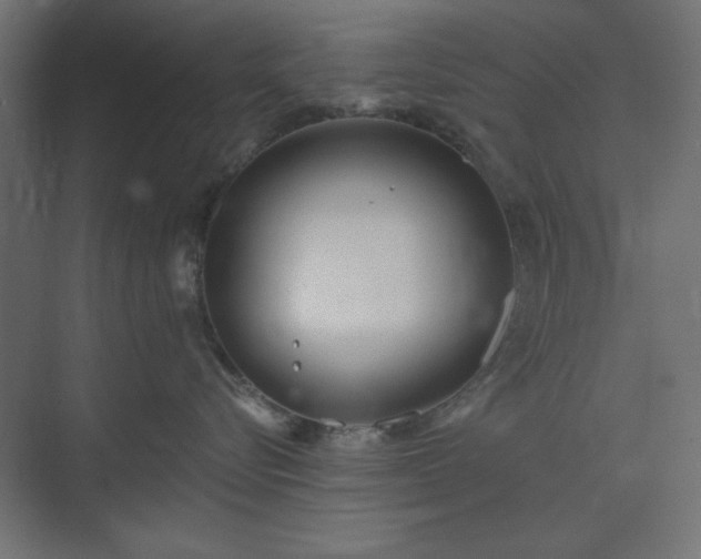 X0000073990576200608281317