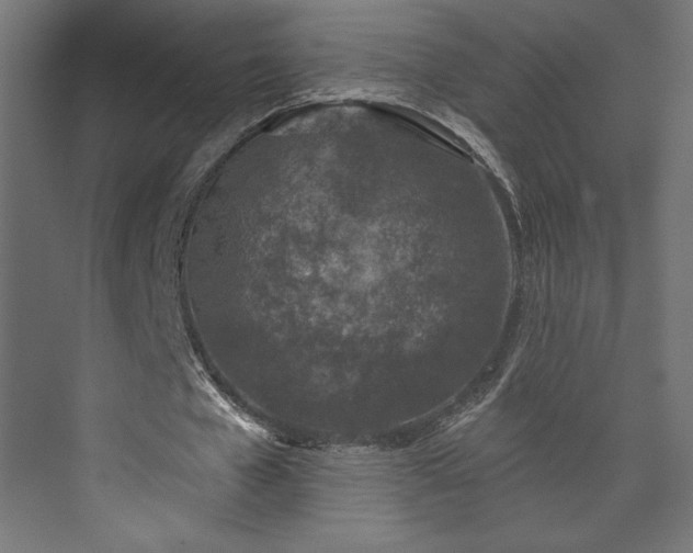 X0000073990577200608281316