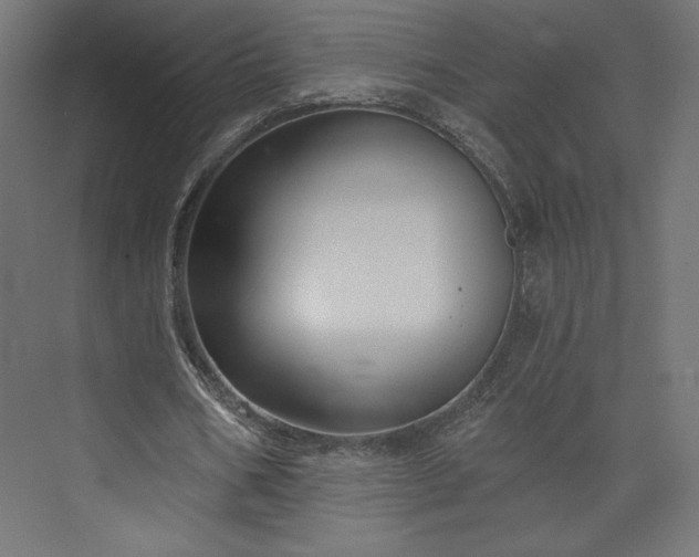 X0000073990578200608281316