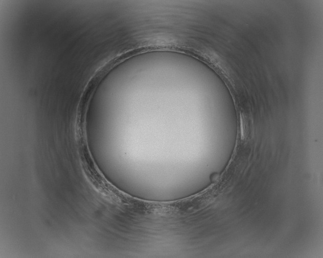 X0000073990579200608281316