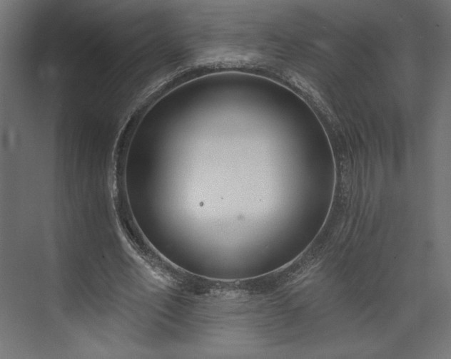 X0000073990582200608281316