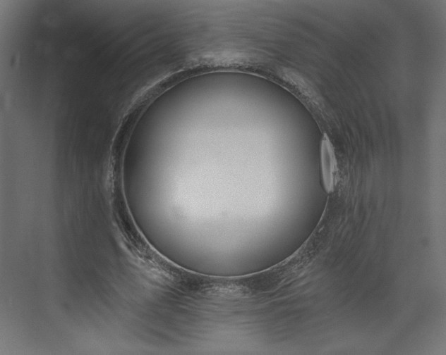 X0000073990583200608281316