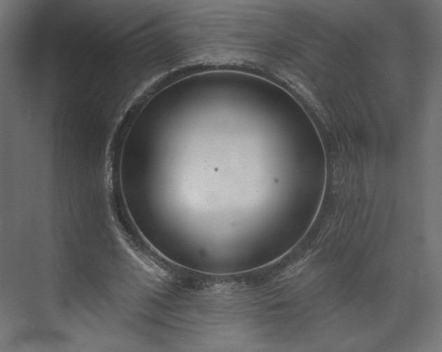 X0000073990584200608281316