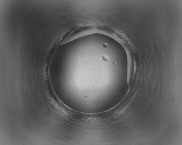 X0000073990585200608281316