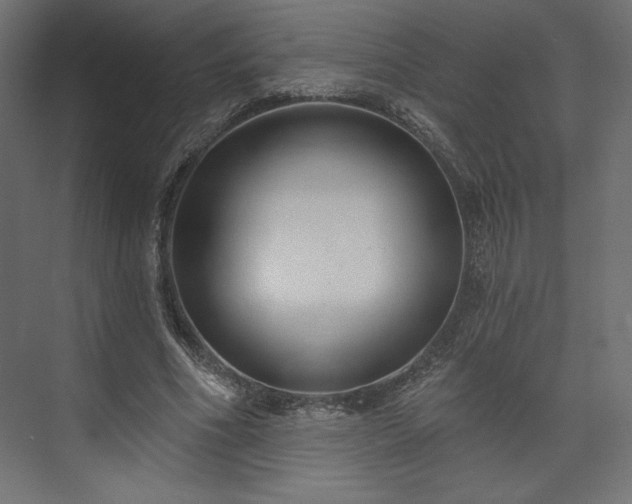 X0000073990586200608281316