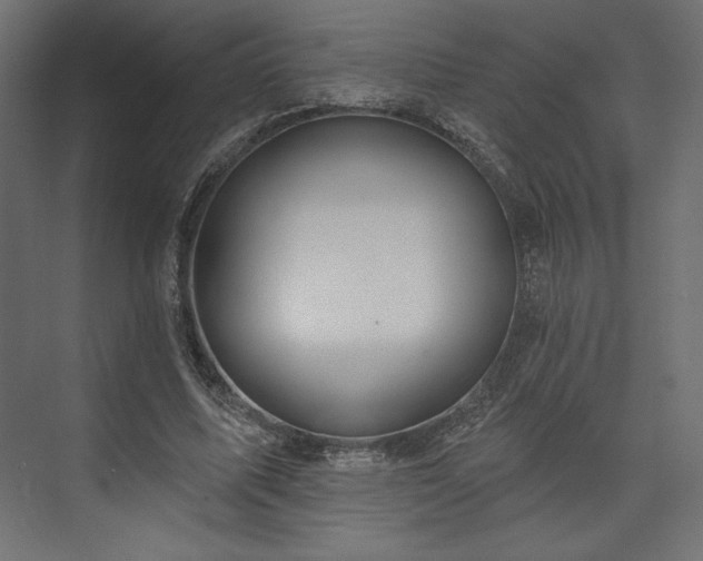 X0000073990587200608281316