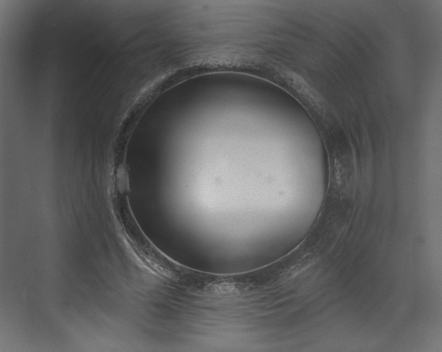 X0000073990588200608281316