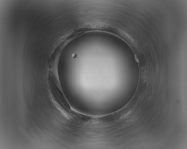 X0000073990589200608281316