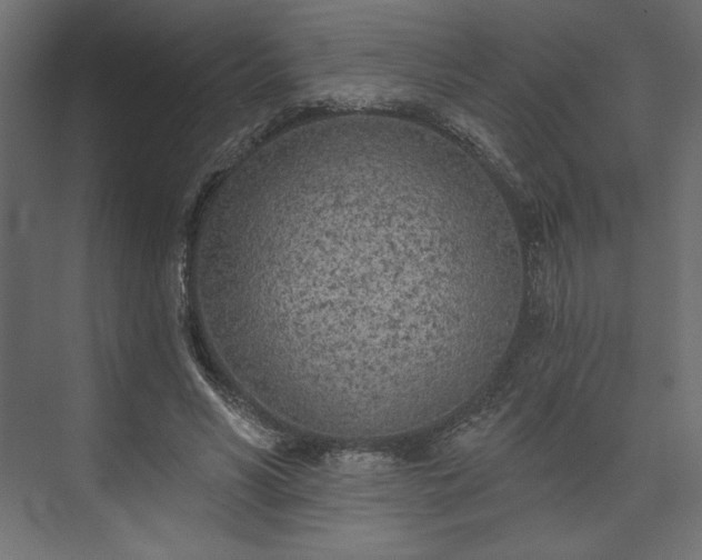 X0000073990590200608281316