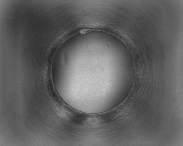 X0000073990591200608281316