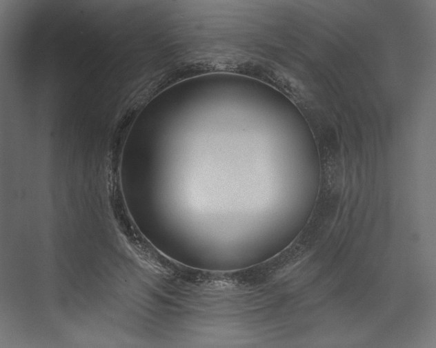 X0000073990594200608281316