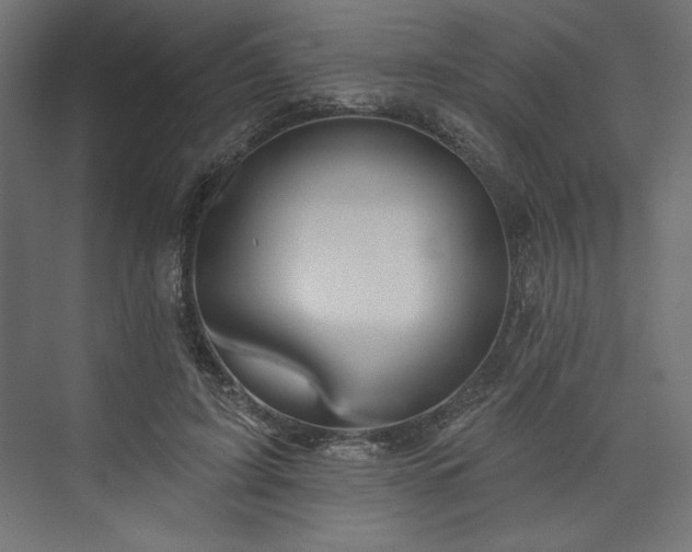 X0000073990595200608281316