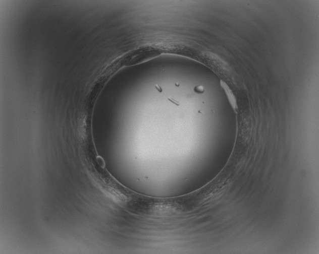 X0000073990596200608281316