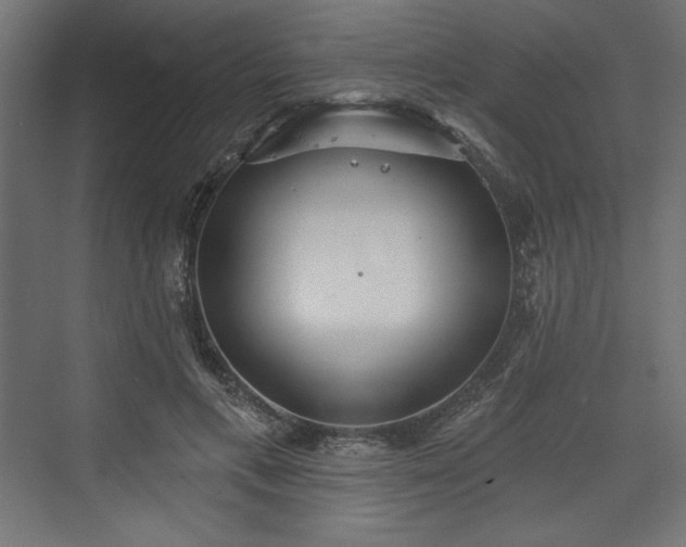 X0000073990597200608281316