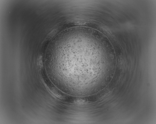 X0000073990598200608281316