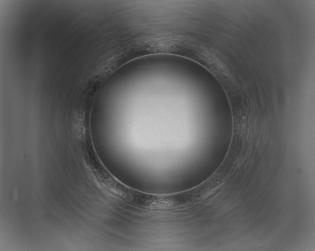 X0000073990599200608281316