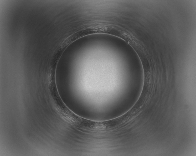 X0000073990600200608281316