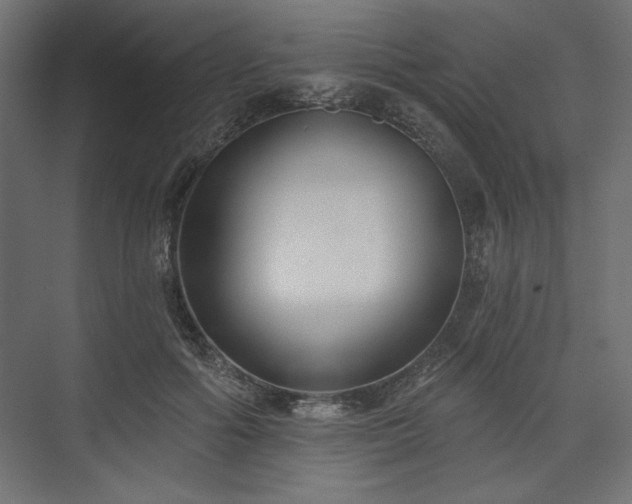 X0000073990602200608281316