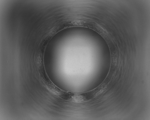 X0000073990603200608281316