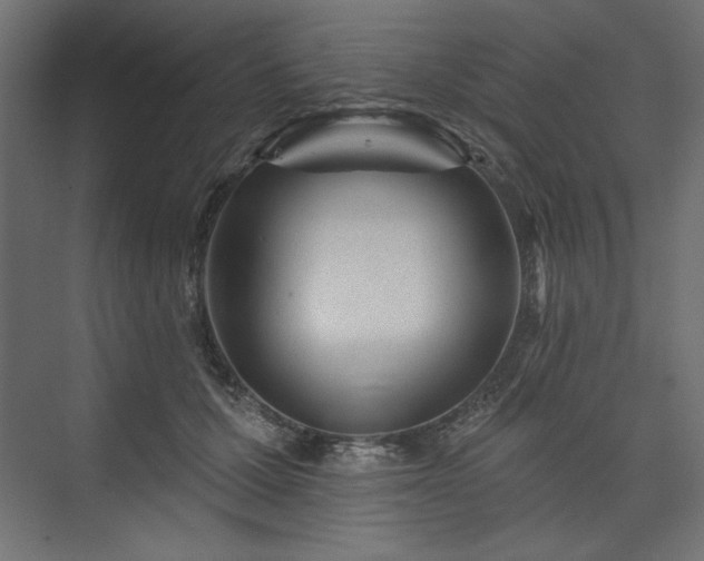 X0000073990607200608281316